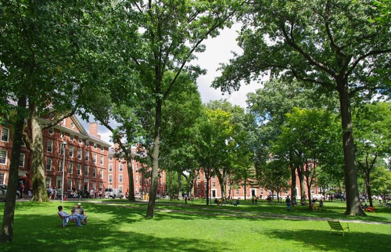 Tasas de admisión temprana en 2020 en las escuelas de la Ivy League y